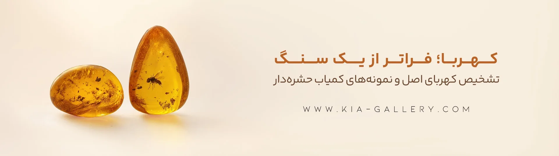 سنگ کهربا چیست؟ خواص، روش تشخیص اصل و راهنمای خرید