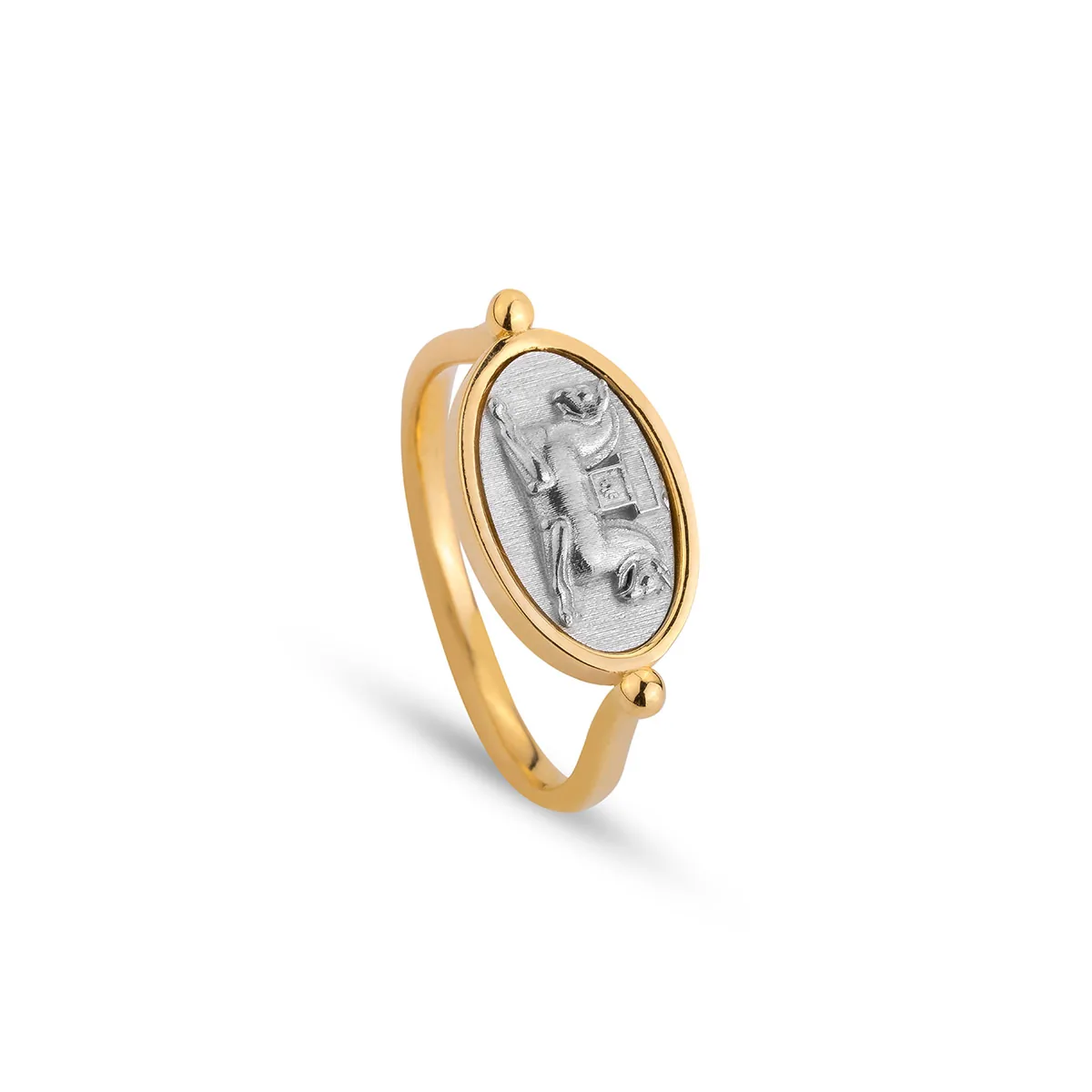 انگشتر پاسارگاد کد RM742